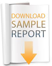 sample report